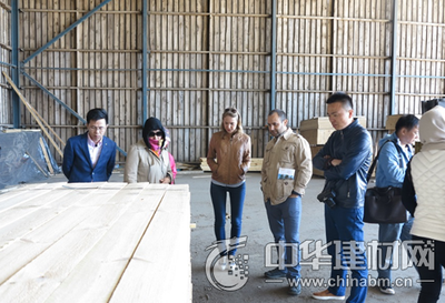 中国木材与木制品流通协会赴欧洲执行木业考察